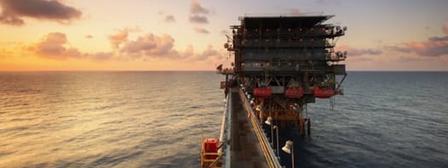 TigrisStrives for Your Ultimate SuccessContact Us